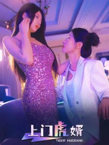 上门虎婿(全集)