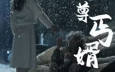 至尊丐婿 全集(大结局)
