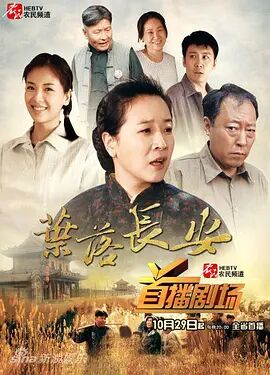 叶落长安 10集